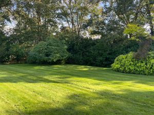 Photo 5- click for photo gallery